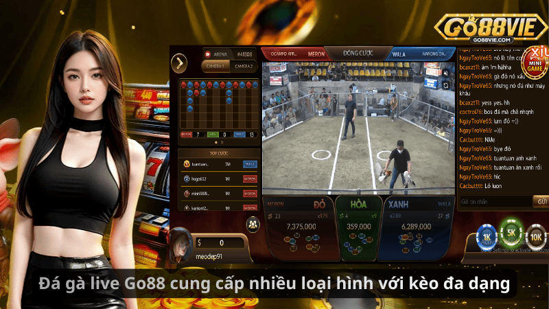 Đá gà live Go88 cung cấp nhiều loại hình với kèo đa dạng